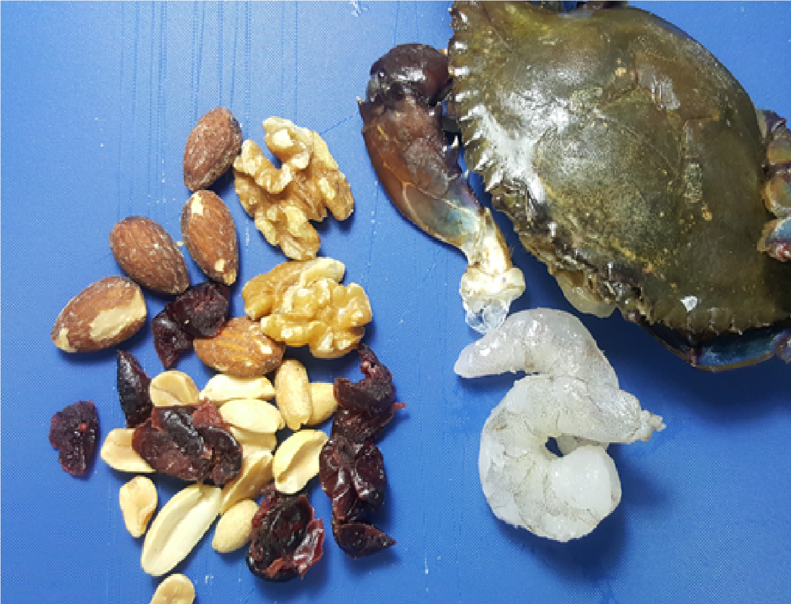 alimentos alimentos